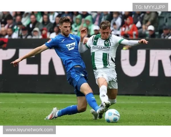 布格尔梅开二度霍芬海姆客场三比二逆转力克沃尔夫斯堡 布格尔梅开二度霍芬海姆客场三比二逆转力克沃尔夫斯堡