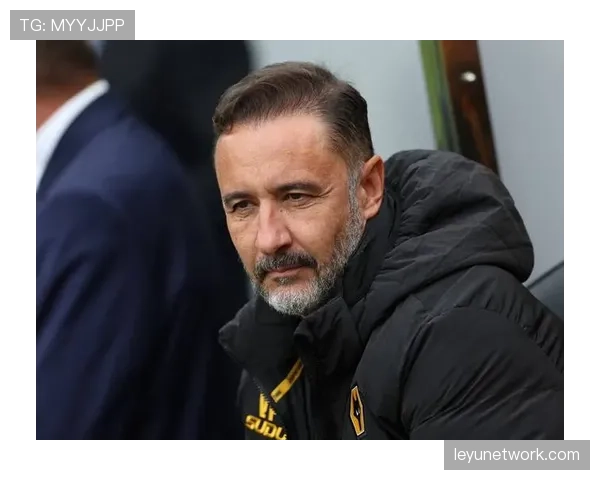 从青训到降级：狼队连续征战英超八年的兴衰历程